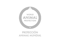 World Animal Protection